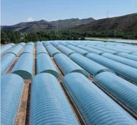 Koude gebiedsfilm Zonne-luchtmuur Kas Actieve warmteopslag en -afgifte