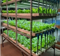 Tuinbouw gebruikt dak plastic film kas boerderij met binnen/buiten schaduwsysteem